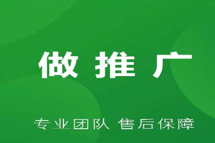 电商平台信息流广告的投放策略与效果评估案例